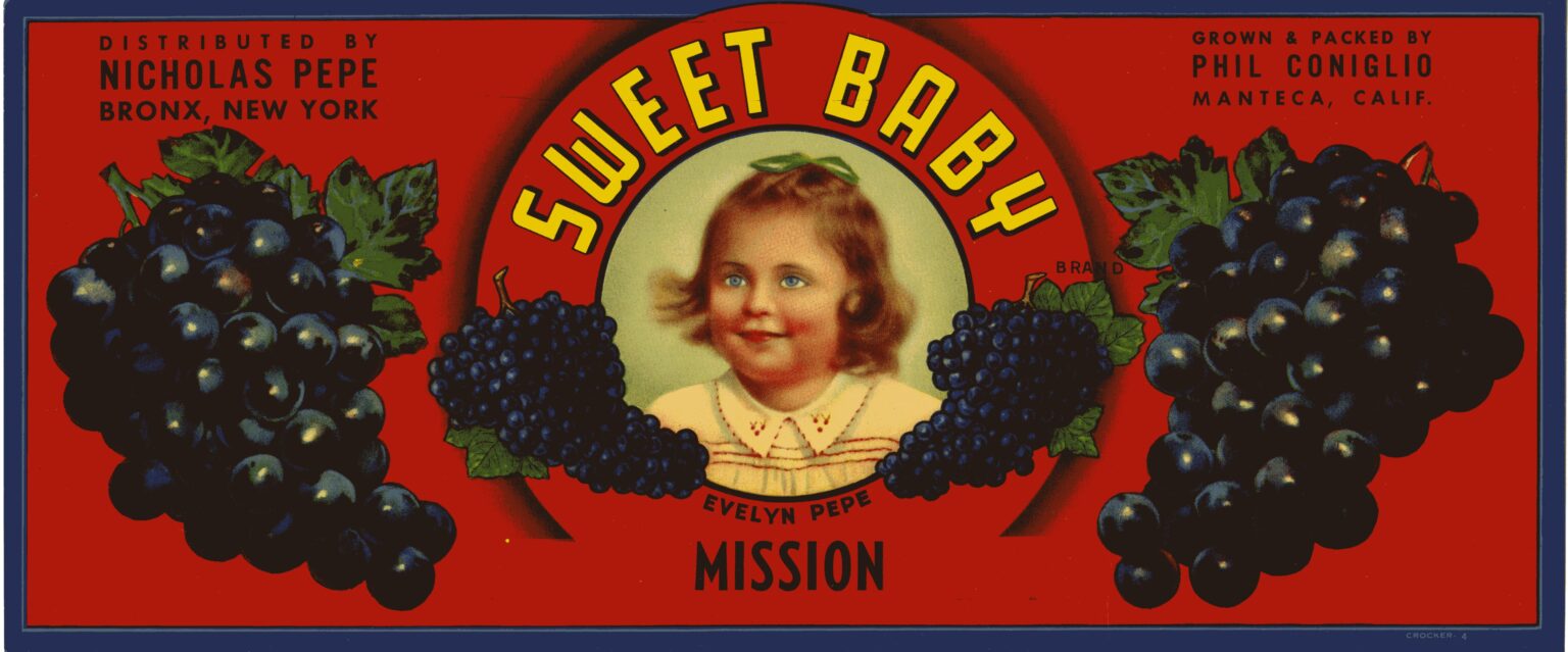 Sweet Baby Sweet Baby